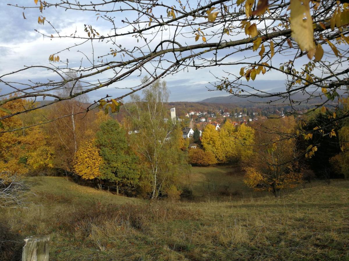 Appartamento Ravensbergblick - Harzlich Willkommen In Bad Sachsa Esterno foto